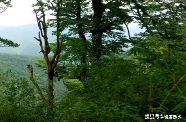 几何霓虹冲刺4无敌版