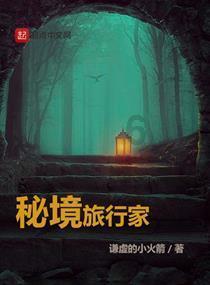 疯狂的小偷